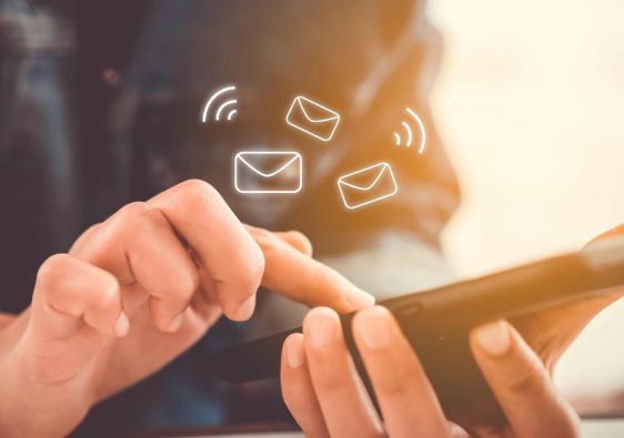 newsletter pour l'eSS